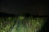 3.UF C2;SST50,  5 A.JPG