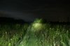 17.SZOMB HID 50;38 W.JPG