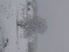 Resize of IMG_0737.JPG