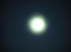 DSC03078.jpg
