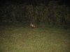 Resize of IMG_1693.jpg