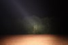 60-Watt-halogen.jpg