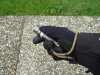 hand1.JPG