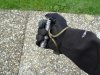 hand2.JPG