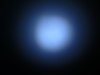 P1100079.jpg