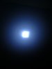 P1100078.jpg