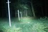 Zebralight_SC600_Beamshot.jpg