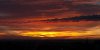 DSC_6448.jpg
