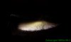 DSC06664_cr.jpg