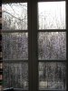 IMG_1463.JPG