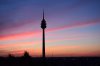 turm.jpg
