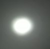 2016-03-22-7002_TLF.jpg 2016-03-22-7002_TLF.jpg