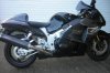Busa_03-001.jpg
