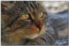 DSC_5139_TLF1.JPG