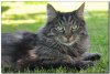 DSC_5157_TLF2.JPG