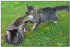 DSC_5166_TLF3.JPG