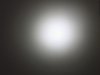 Fleck in Spot.jpg