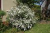 DSC01396 neu.jpg
