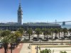 IMG_2904.JPG