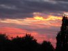 IMG_1810.JPG