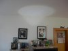 DSCN7313.JPG
