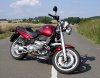 08050024_crop_norm12_c4_1024-30_s30_85std.jpg