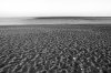 DSC00317 sw.jpg