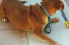 DSC00299 neu.jpg