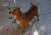 DSC00305 neu.jpg