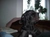 100_2530.JPG