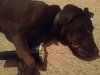 IMG_20161013_2150233.jpg