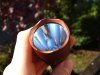 DSC01363-C8-brown.jpg