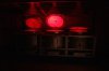 IMG_7237.JPG IMG_7237.JPG
