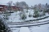 Erster Schnee.JPG