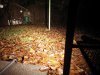 IMG_20161116_210619c.jpg