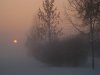 IMG_3179.JPG