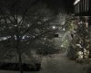 IMG_3168 Zuschnitt.jpg