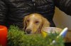 DSC02183eu.jpg