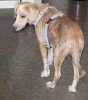 DSC02168 neu.jpg