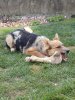 IMG_20161123x133842 - Kopie.jpg