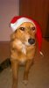 IMG-20161224-WA0014 - Kopie.jpg
