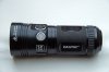DSC02278 neu.jpg