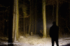 opticss2.gif