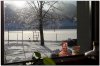 TLF_Fenster1_2017.jpg