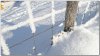 TLF_Winter1_2017.jpg