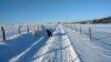 2017-01-19 10.12.43-1.jpg