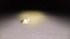20170115_182449_HDRa.jpg