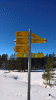 WP_20170122_13_28_08_Pro.gif