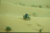1462605_594800787240320_1308301128_o.jpg