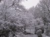 IMG_2249.JPG